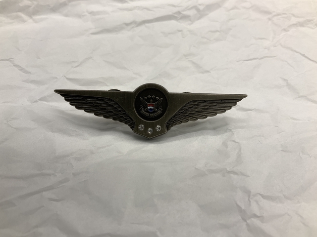 Flight attendant wings / service pin: United Airlines, 20 to24 years