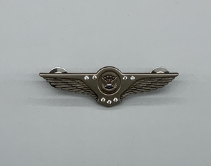 Image: flight attendant wings / service pin: United Airlines, 40 to 44 years