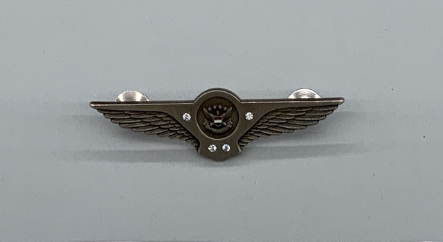 Flight attendant wings / service pin: United Airlines, 25 to 29 years