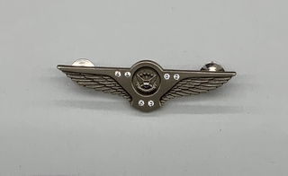 Image: flight attendant wings / service pin: United Airlines, 35 to 39 years