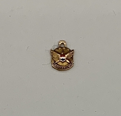 Image: service pendant: United Air Lines, 2 years