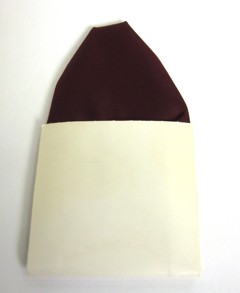 Image: flight attendant pocket square: United Airlines