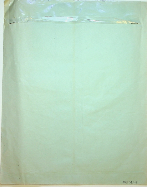 Image: airsickness bag: [unbranded]