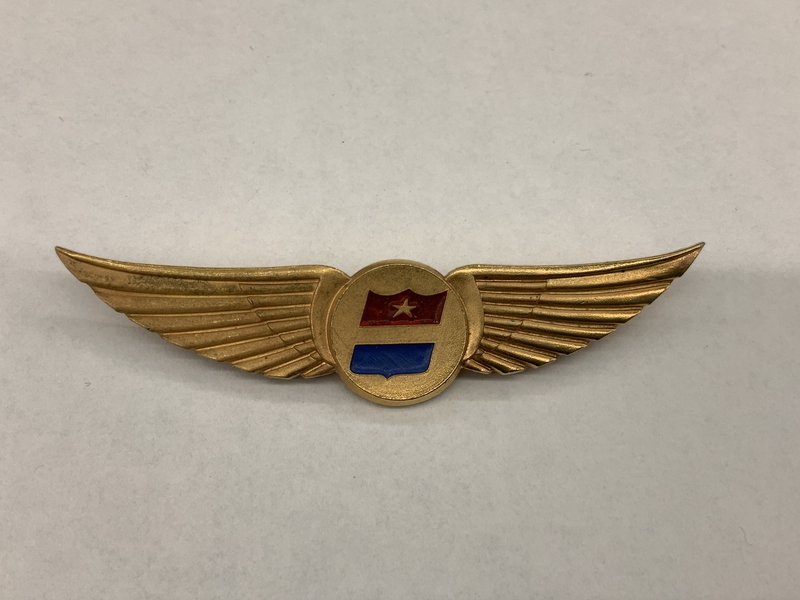 Image: stewardess wings: United Air Lines