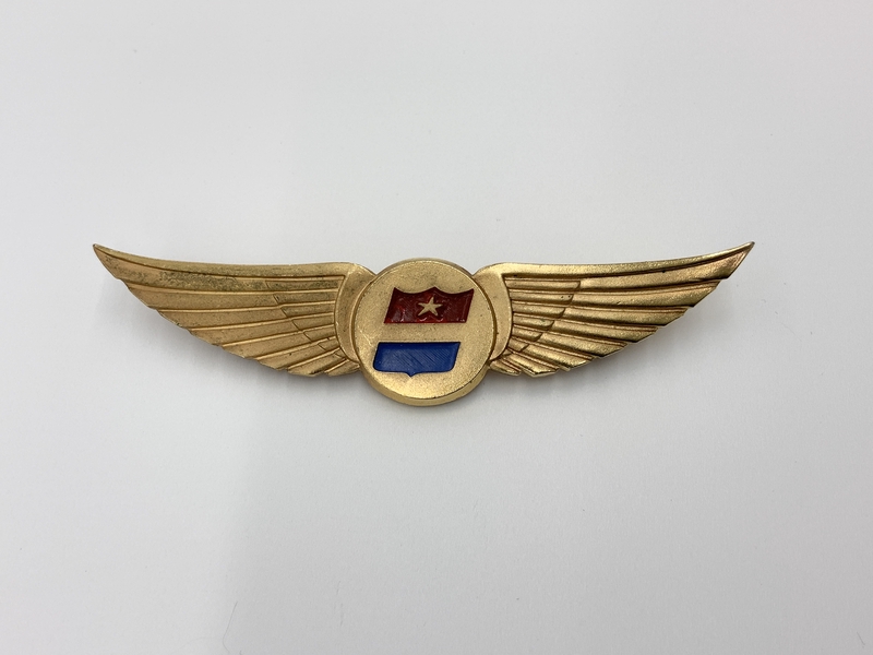 Image: stewardess wings: United Air Lines