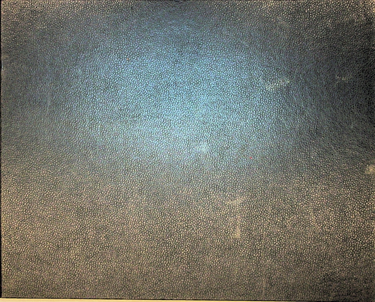 Image: certificate: United Airlines, Kathleen McNamara