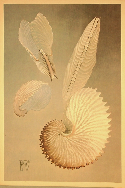 Image: menu: United Airlines