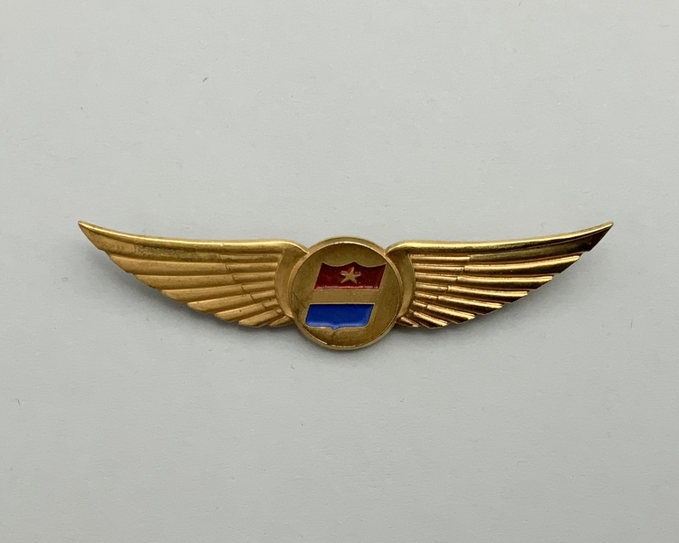 Image: stewardess wings: United Air Lines