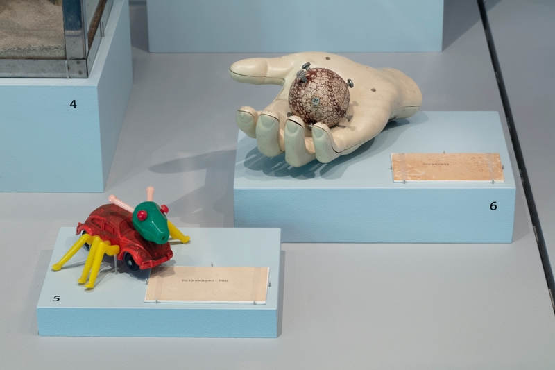 Image: Installation view of "Recollections... from the Unknown Museum"