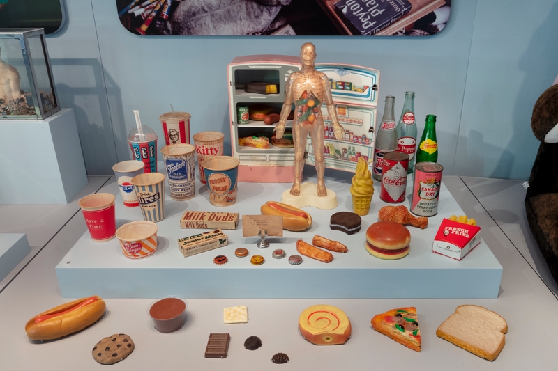 Image: Installation view of "Recollections... from the Unknown Museum"