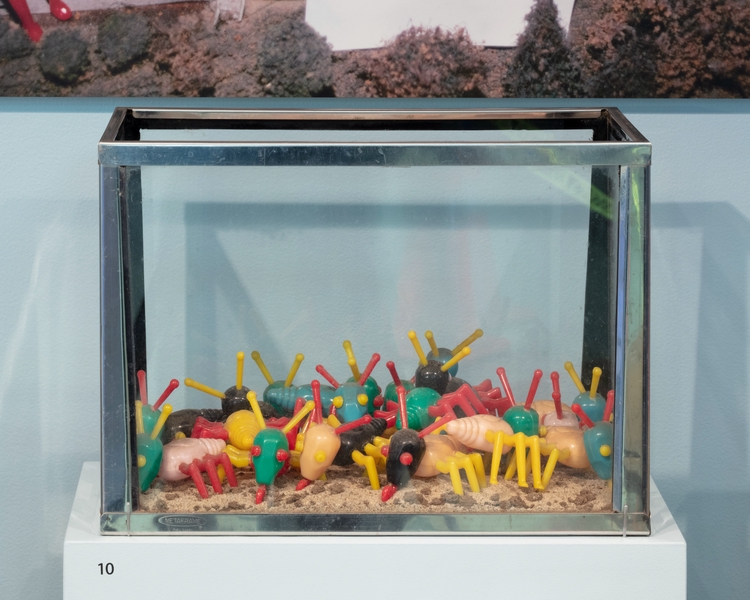 Image: Installation view of "Recollections... from the Unknown Museum"