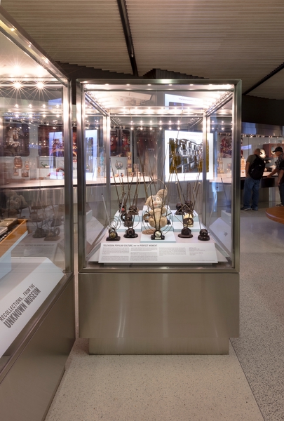 Image: Installation view of "Recollections... from the Unknown Museum"