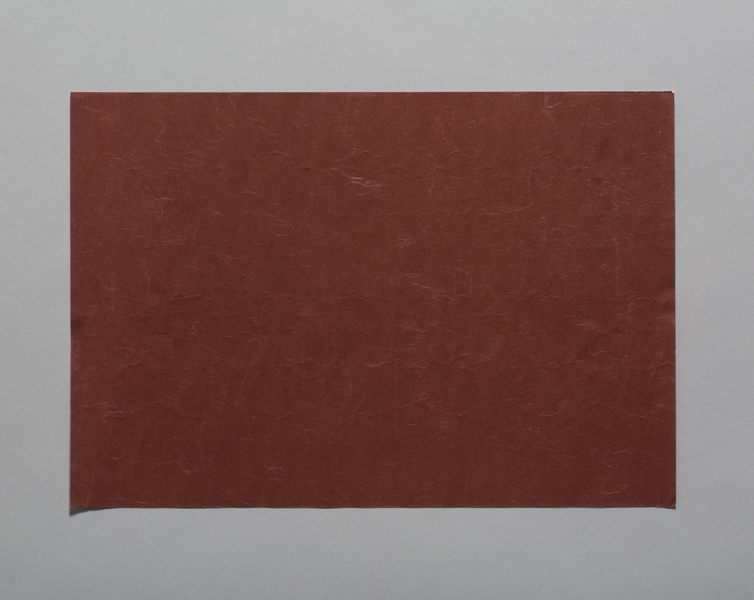 Image: meal tray liner: United Airlines