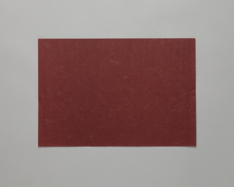 Image: meal tray liner: United Airlines