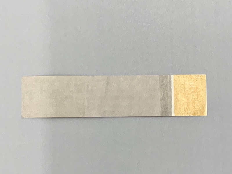 Image: napkin ring: United Airlines