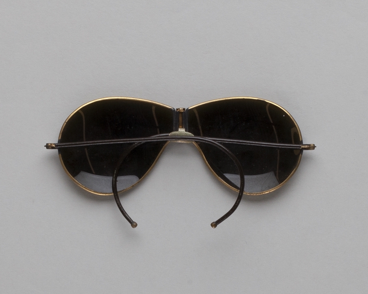 Image: aviator sunglasses with case