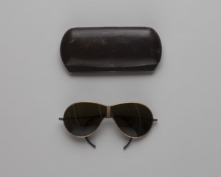 Image: aviator sunglasses with case